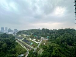 Normanton Park (D5), Apartment #497190821